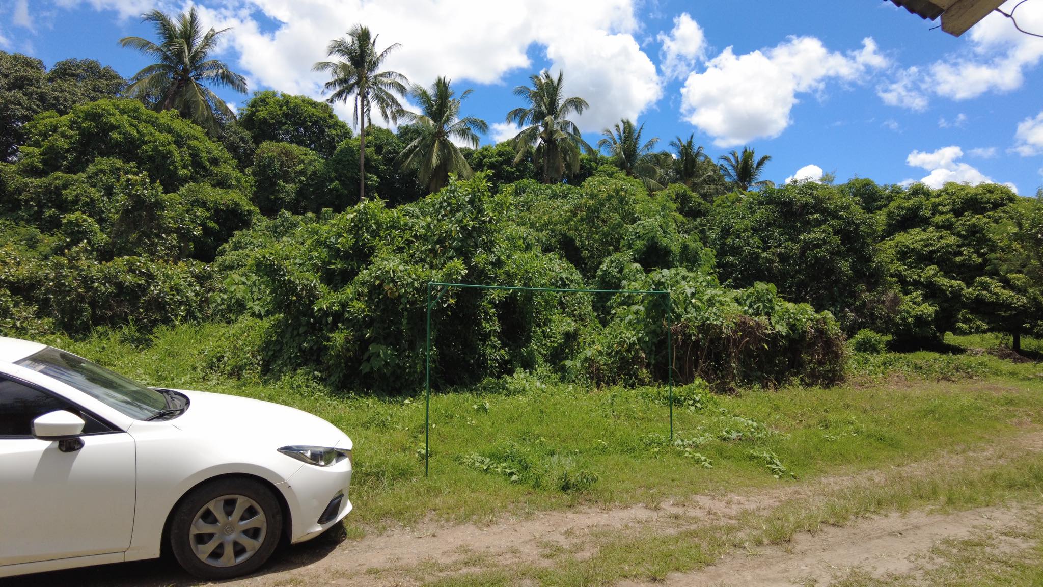 Farm Lot with Residential Features For Sale at Batangas City