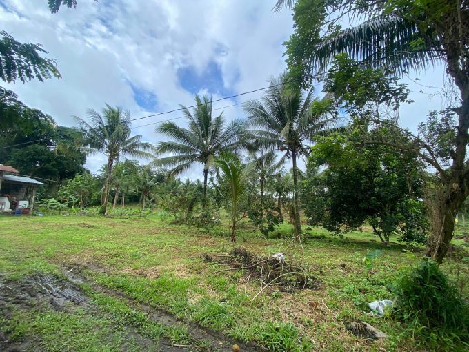 San Jose Farm Lot For Sale Batangas House and Lot For Sale / For