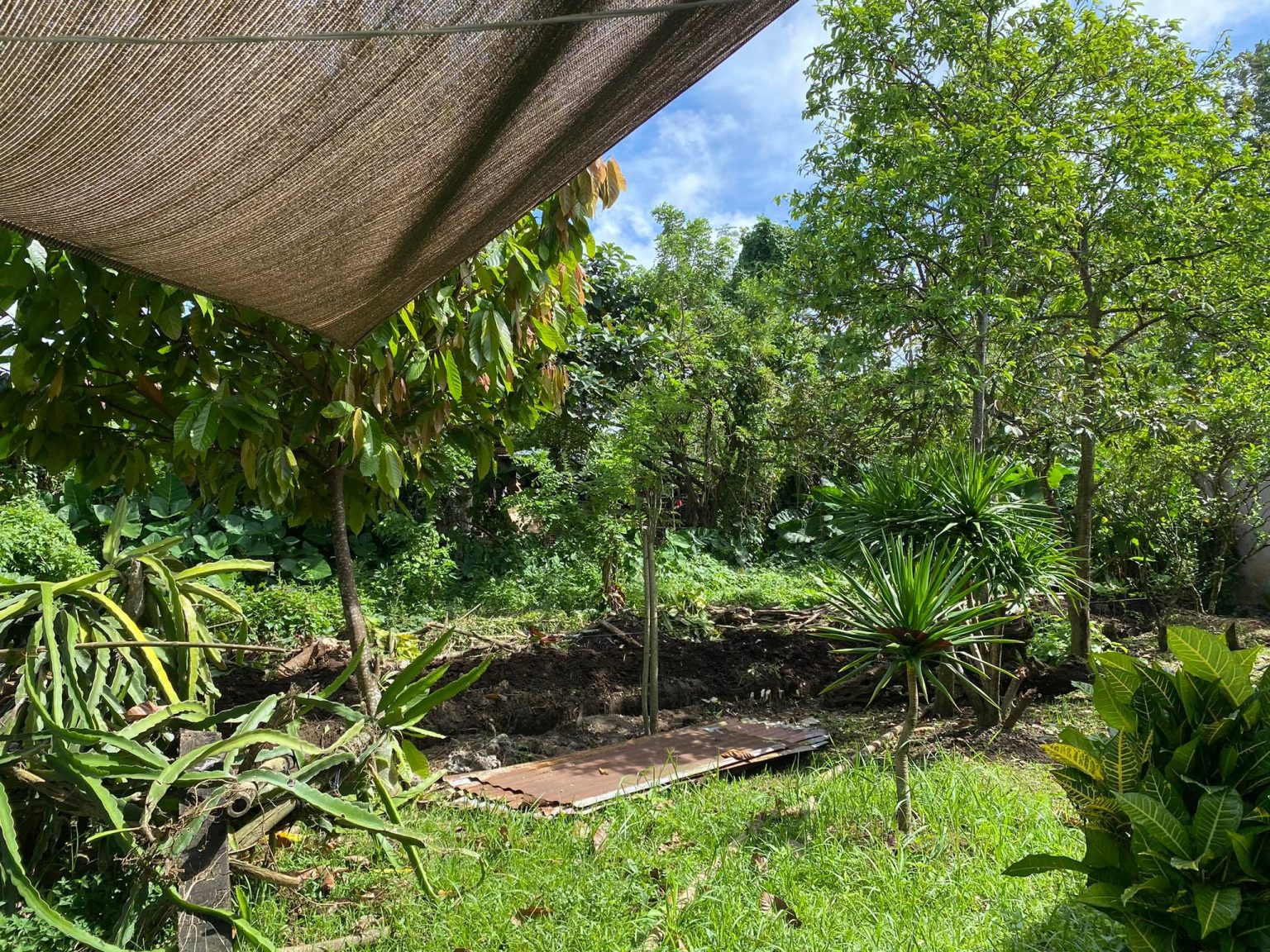 Lodlod Lipa City Residential/Farm Lot For Sale Batangas House and