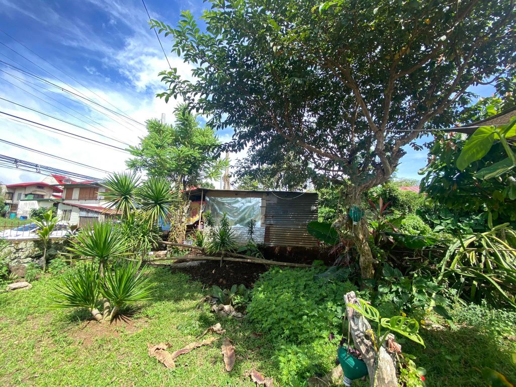 Lodlod Lipa City Residential/Farm Lot For Sale Batangas House and